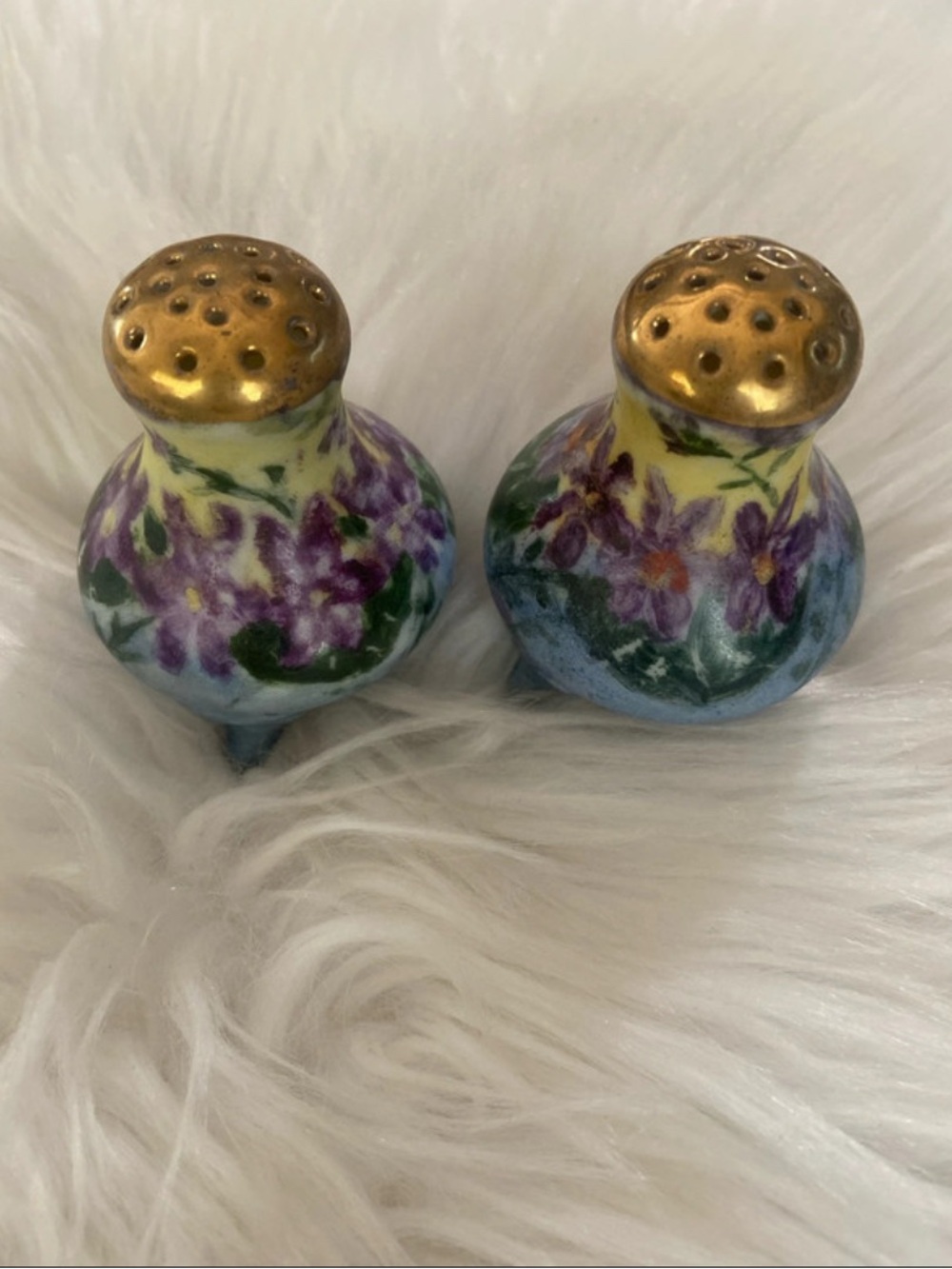 Vintage Antique Hand Painted Floral Footed Salt and Pepper Shakers Signed EC